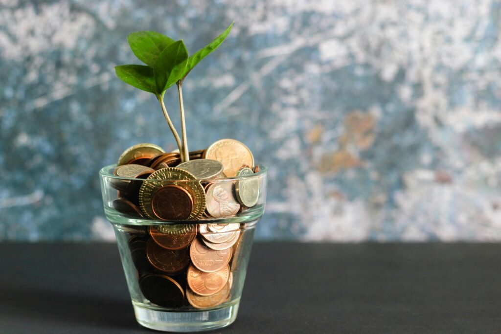 green plant in clear glass vase